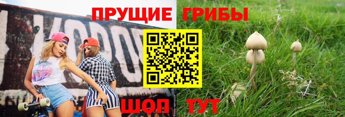 Псилоцибиновые грибы мухоморы Старая Русса